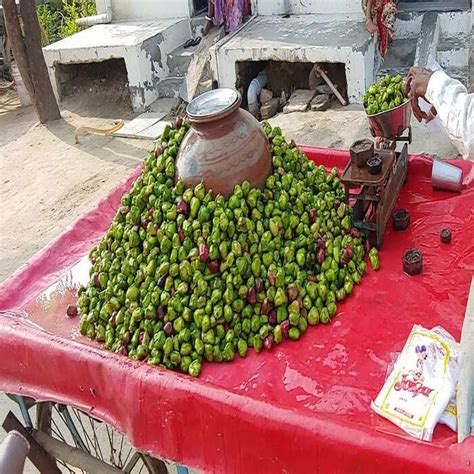Water Chestnut Side Effects: ଏମାନଙ୍କ ପାଇଁ ପାଣିଫଳ ବିଷ ସମାନ! ଥରେ ପାଟିରେ ...