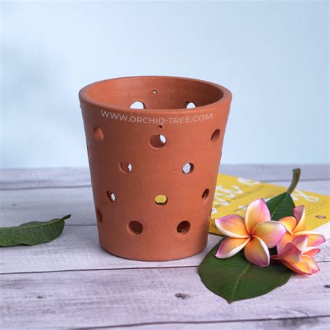 Terracotta Vanda Pot 6 Inch – Orchid-Tree