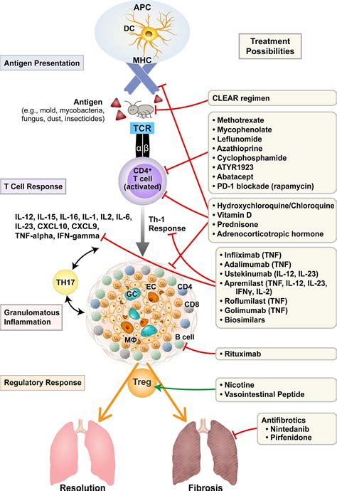 Frontiers | Treatment of Sarcoidosis: A Multidisciplinary Approach