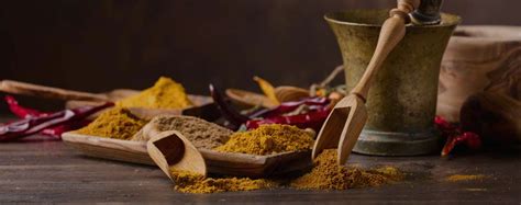 Prakash Masala Co. Private Limited | seasonings and value added spice ...