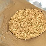 Bikaji Bhujia No 1 - Authentic Indian Snack | 1Kg Pack : Amazon.in ...