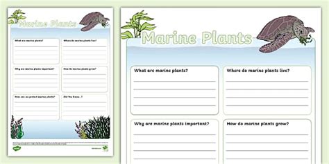 Marine Plants Fact File Template, English, Science - Twinkl