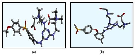 Computational Analysis of Amine Functionalization in Zwitterionized ...
