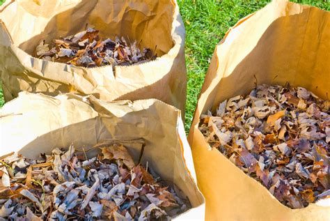 Image result for Yard Waste Disposal
