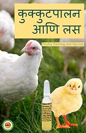 Poultry Farming and Vaccine | कुक्कुटपालन आणि लस : Subodh kamble ...