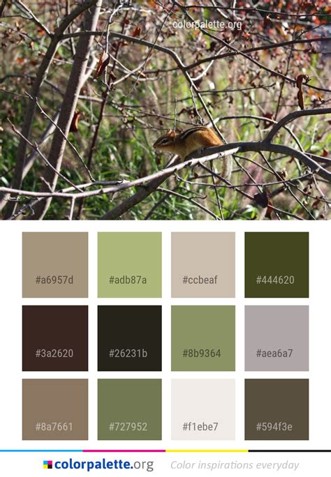 Nature Color 的图像结果