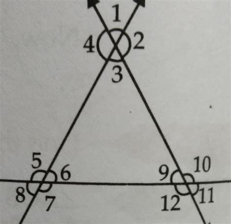 In the adjoining figure name all the pairs of (1) Supplementary angles ...