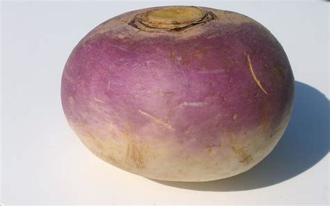 What Are, How To Cook & How to Store Turnips
