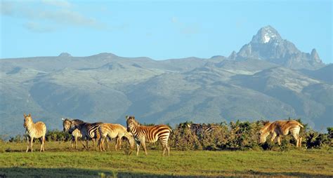 Popular Destinations in Kenya – Mt. Kenya National Park – Kenya Safari ...