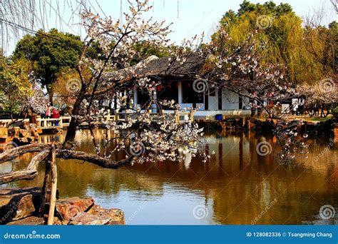 Chinese Suzhou Classical Gardens Stock Photo - Image of gardening ...