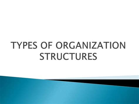 Image result for Types of Org Structures