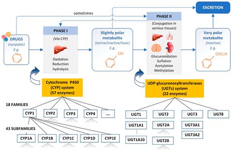 Artificial Intelligence in Drug Metabolism and Excretion Prediction: Recent Advances, Challenges ...