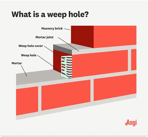 What Is A Weep Hole In Brick at Rose Briggs blog