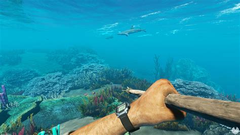 Rezultat imagine pentru Stranded Deep Switch