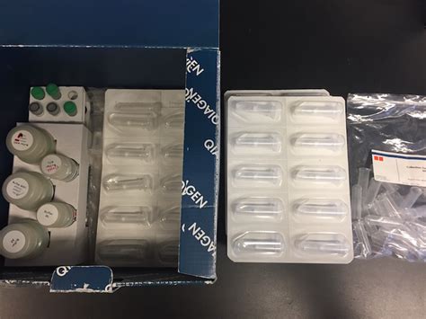 Image result for DNA Extraction QIAGEN Protocol