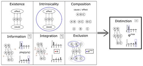 Mechanism Integrated Information