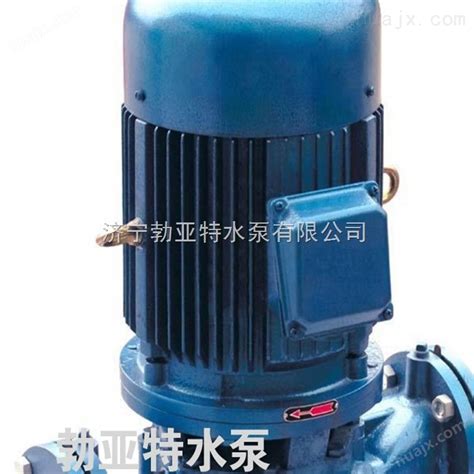 排污水泵维修6_排污水泵维修_长沙雷亚机电设备有限公司_长沙水泵电机维修