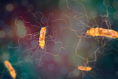 Image result for C Diff Treatment