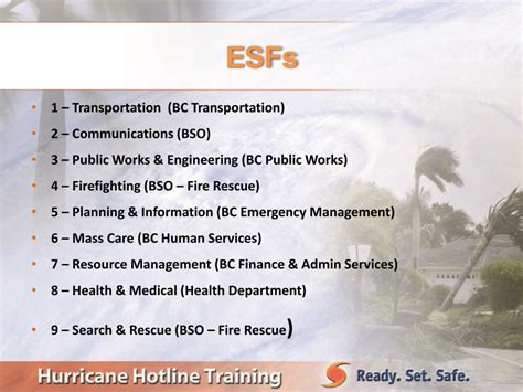 Image result for ICS Chart Esfs