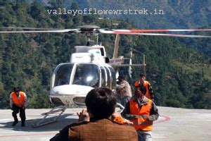 Valley Of Flowers Trekking Tours Guided Trips, Place to Stay, Place to ...