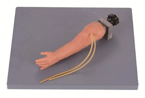 Image result for IV Training Arm Model