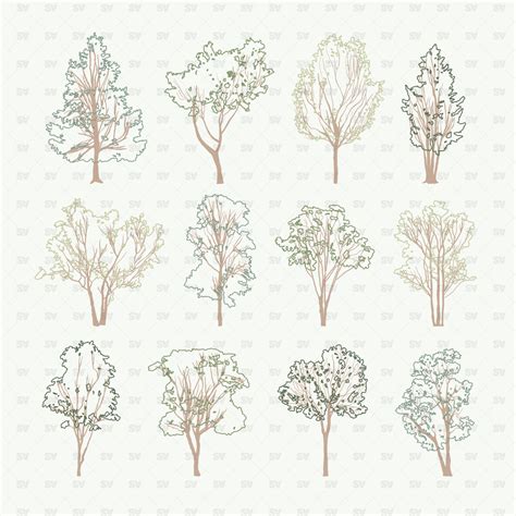 Vector Trees | AI PNG | Architecture | Studio Alternativi