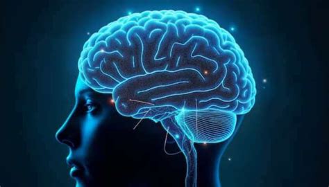 10 Daily Habits That Supercharge Memory And Boost Brain Power