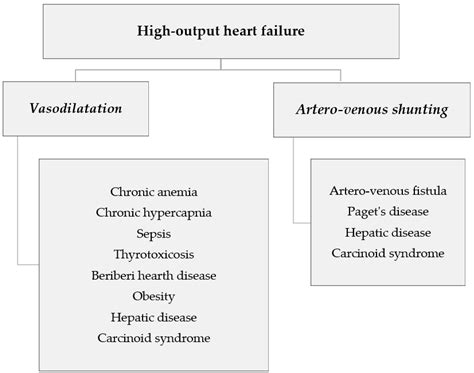 High Output Heart Failure in Multiple Myeloma: Pathogenetic Considerations
