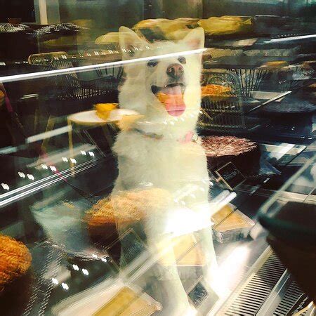 SHOSHOLOZA, Guayaquil - Menu, Prices & Restaurant Reviews - Tripadvisor