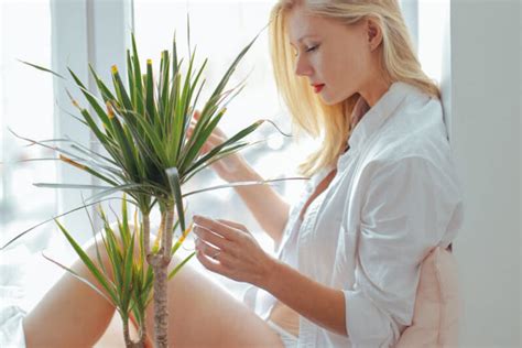 Image result for Ukraine Bride Scam