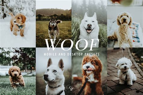 12 Pets Lightroom Presets Graphic by CVRPresets · Creative Fabrica