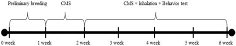 Olfactory Stimulation with Volatile Aroma Compounds of Basil (Ocimum ...