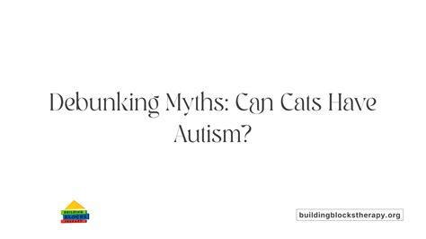 Can Cats Have Autism?