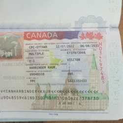 Image result for Canada Visa Reference Code