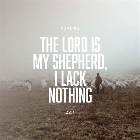 Psalms 23:1 The LORD is my shepherd, I lack nothing. | New ...