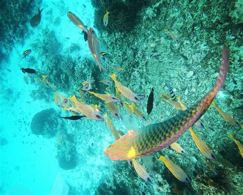 AQUATIC WATER SPORTS (2025) All You Need to Know BEFORE You Go (with ...