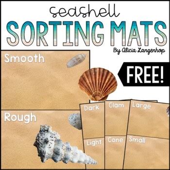 Seashell Sorting Activity 的图像结果