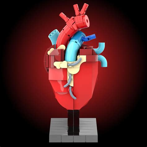 Anatomical Heart - project for Lego Ideas Challenge : r/lego