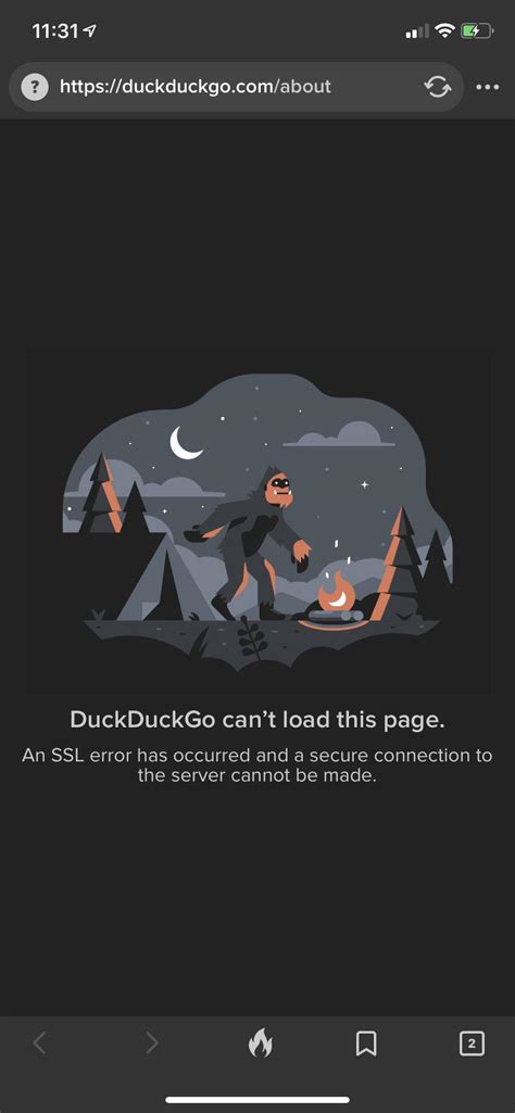 Image result for DuckDuckGo Problems