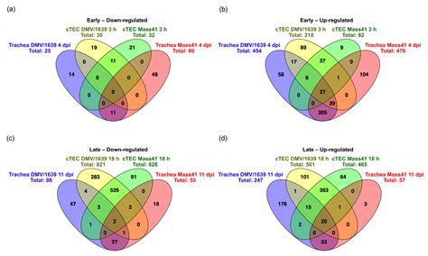 Host Immune Response Modulation in Avian Coronavirus Infection ...
