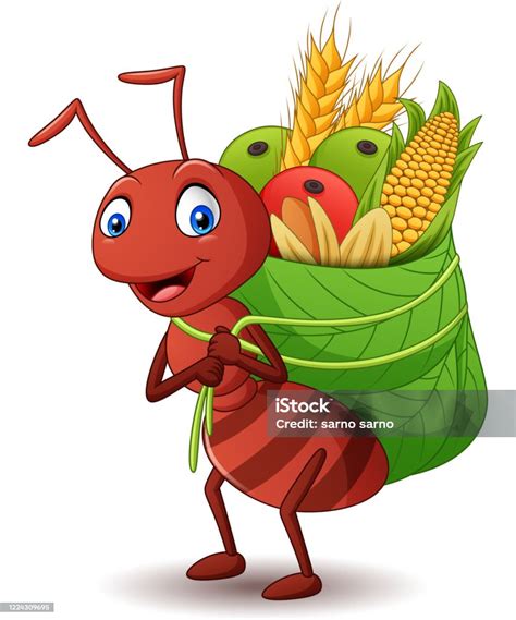 Image result for Programming Display