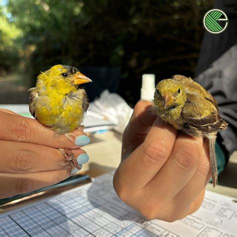 Endemic Environmental Services, Inc on LinkedIn: #endemicenvironmental #leaderinsustainability # ...
