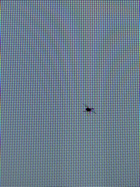 I thought this was a dead pixel until I took a closer look - what is ...