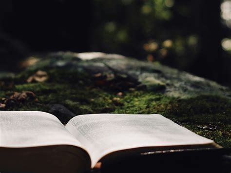 Image result for REST