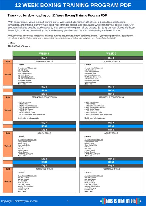 Boxing Workout 的图像结果