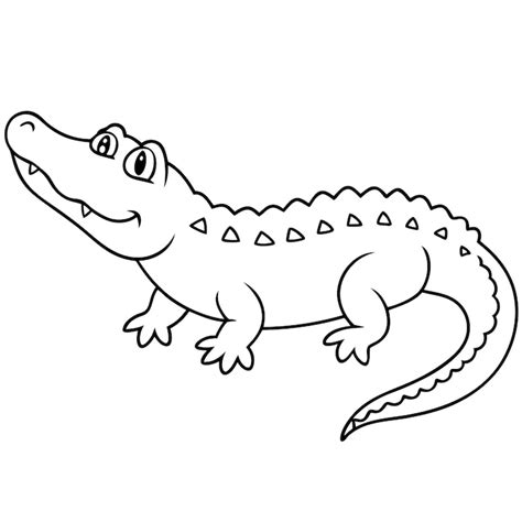 Krokodil Zeichnung Bilder - Kostenloser Download auf Freepik
