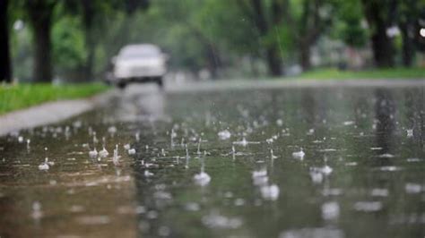 Heavy rain with thunderstorms likely in coming hours; alert for people ...