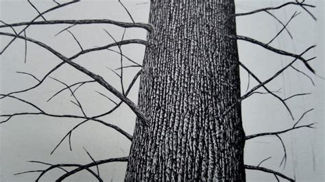 Image result for How to Draw Tree Trunks