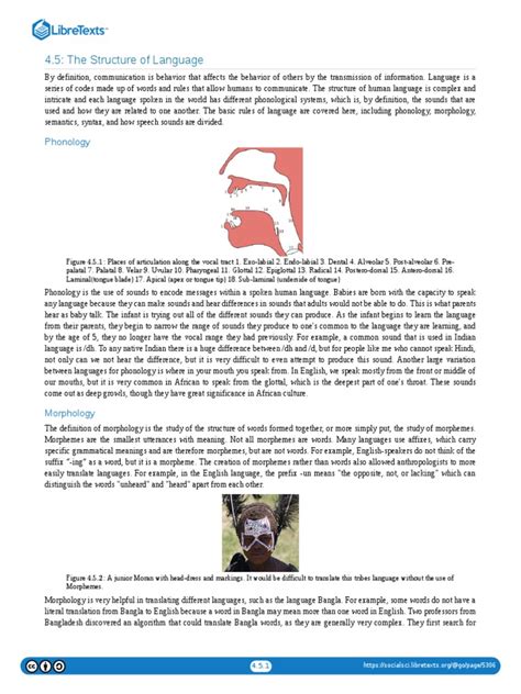 Image result for Different Type of Language Structure