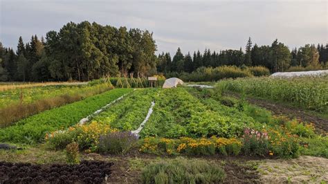 Beredskapsodling del 2 med Joe Egan, Bråna Frälsegård, 363 35 Tolg ...